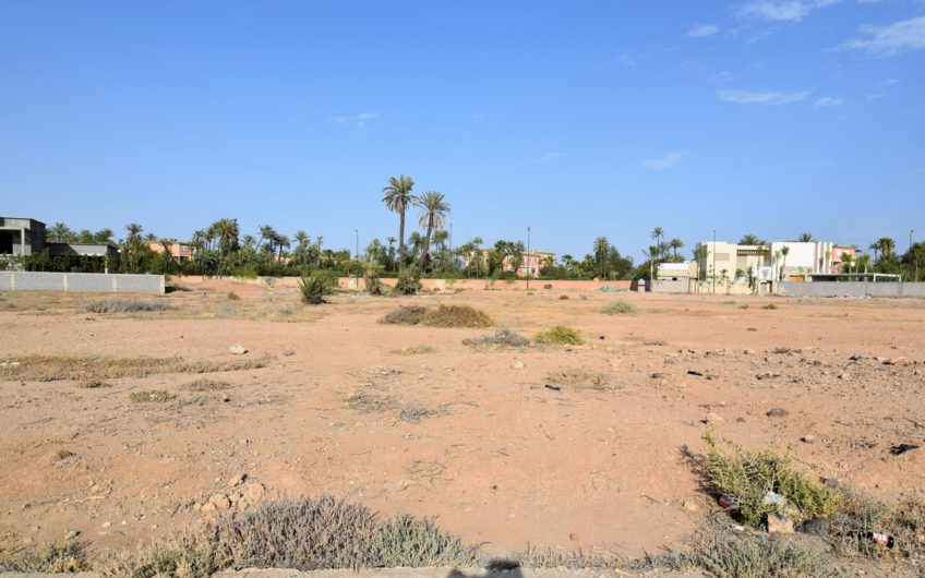 Marrakech Palmeraie terrain à vendre