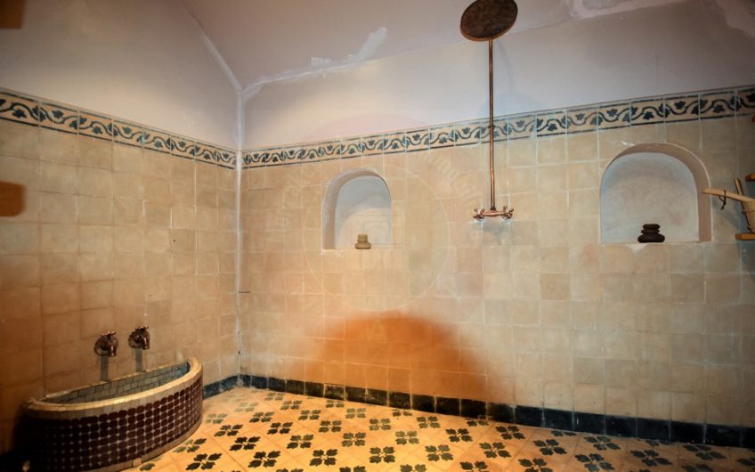 Marrakech villa ferme à vendre